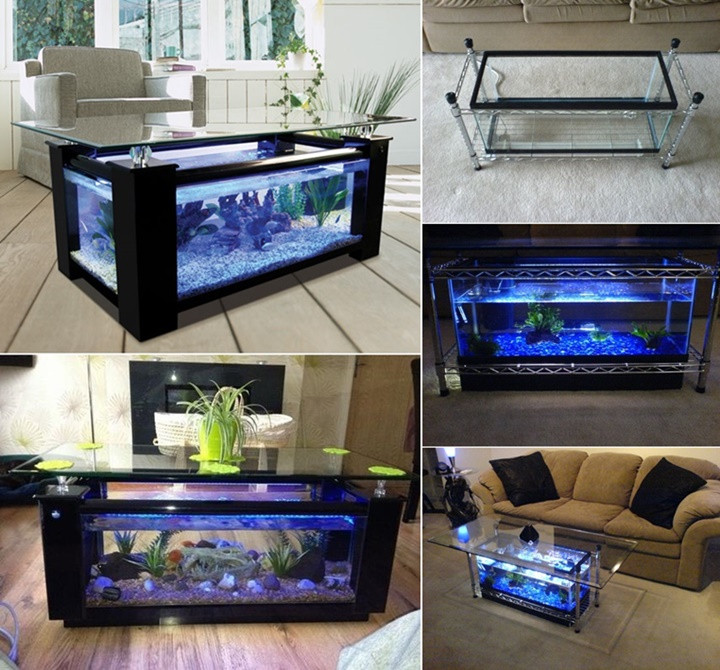 Best ideas about Fish Tank Coffee Table
. Save or Pin Spectacular DIY Fish Tank Coffee Table Free Guide and Now.