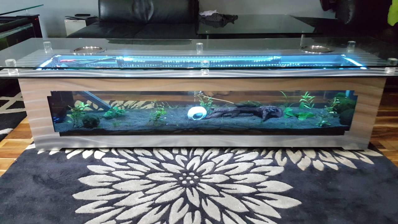 Best ideas about Fish Tank Coffee Table
. Save or Pin New coffee table fish tank Now.