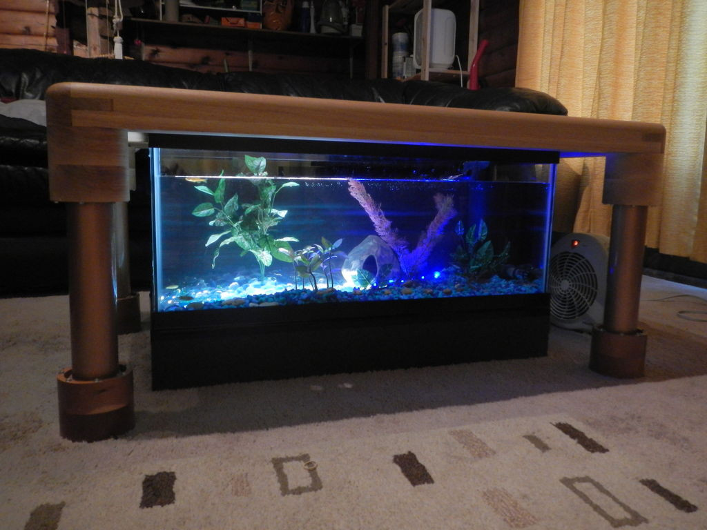 Best ideas about Fish Tank Coffee Table
. Save or Pin Aquarium Coffee Table Now.