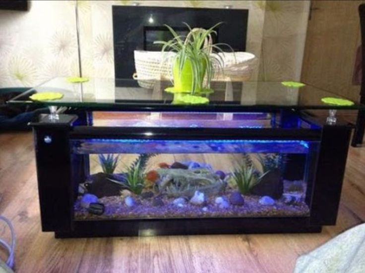 Best ideas about Fish Tank Coffee Table
. Save or Pin Best 25 Fish tank coffee table ideas on Pinterest Now.