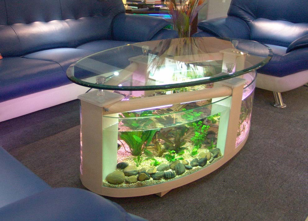 Best ideas about Fish Tank Coffee Table
. Save or Pin Top 7 Cool Fish Bowls and Tanks Now.