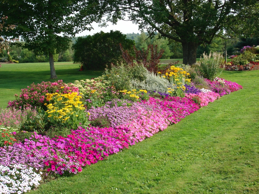 Best ideas about Flower Garden Ideas
. Save or Pin DIY Re do a Tired Flower bed Now.