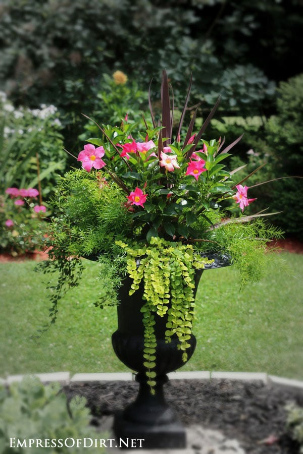 Best ideas about Flower Planter Ideas
. Save or Pin 21 Gorgeous Flower Planter Ideas from Home Gardens Now.