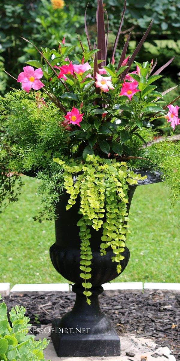 Best ideas about Flower Planter Ideas
. Save or Pin 21 Gorgeous Flower Planter Ideas Now.