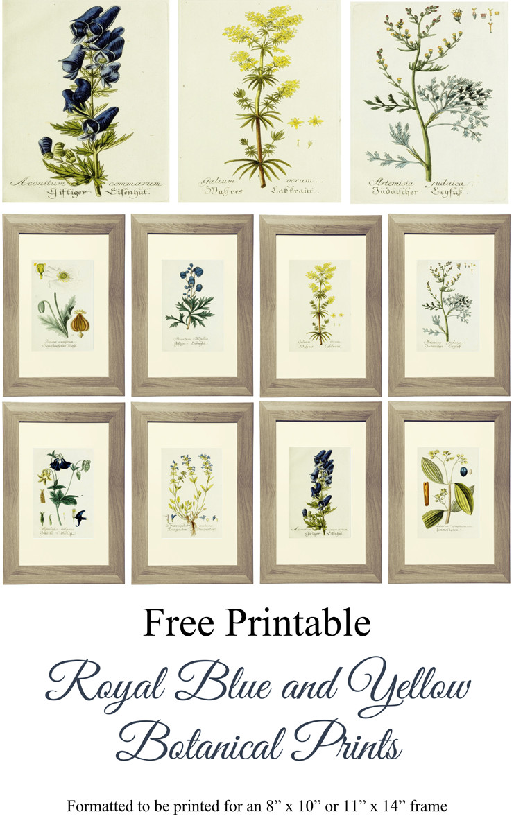 Best ideas about Free Printable Wall Art
. Save or Pin Free Printable Royal Blue and Yellow Botanical Art Now.