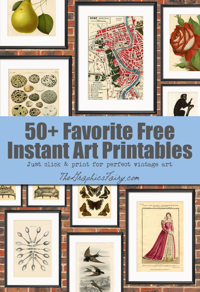 Best ideas about Free Printable Wall Art
. Save or Pin Vintage Botanical Fruit Download Apples and Apricot Now.