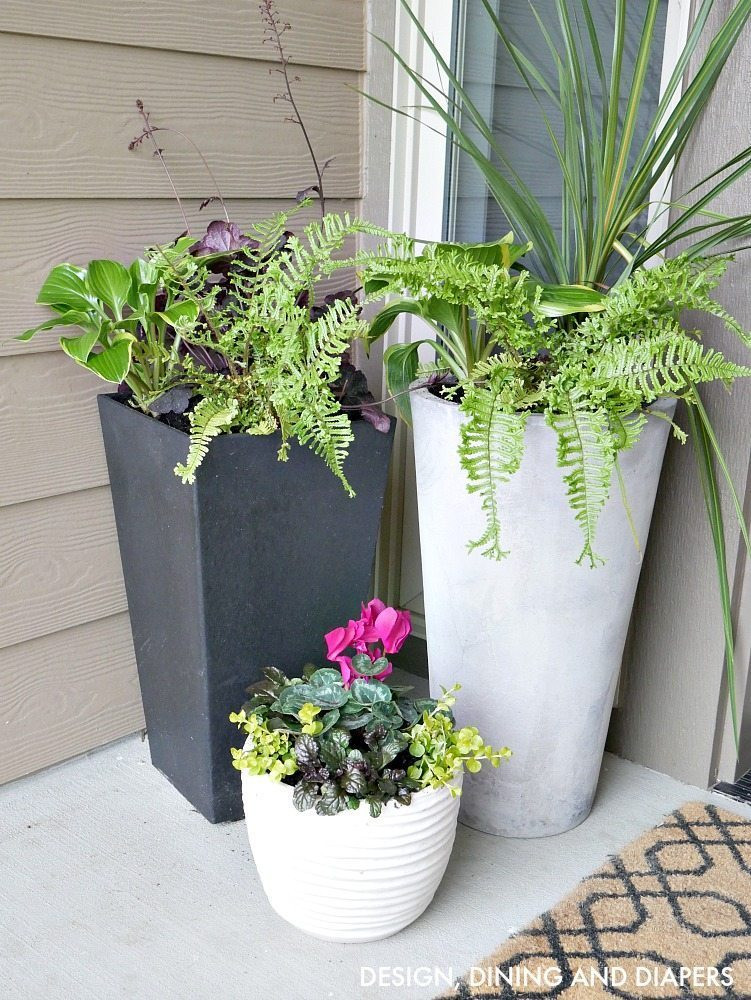 Best ideas about Front Porch Planter Ideas
. Save or Pin Front Porch Planter Ideas Taryn Whiteaker Now.