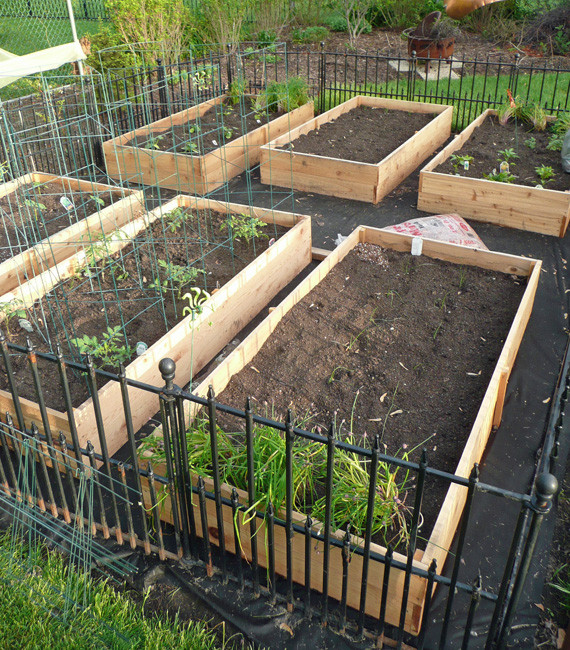 Best ideas about Garden Boxes DIY
. Save or Pin Ve able Garden Box DIY Now.