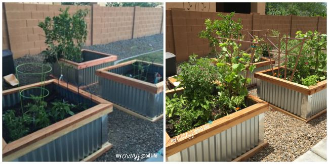 Best ideas about Garden Boxes DIY
. Save or Pin DIY Raised Garden Beds with Corrugated Metal Now.