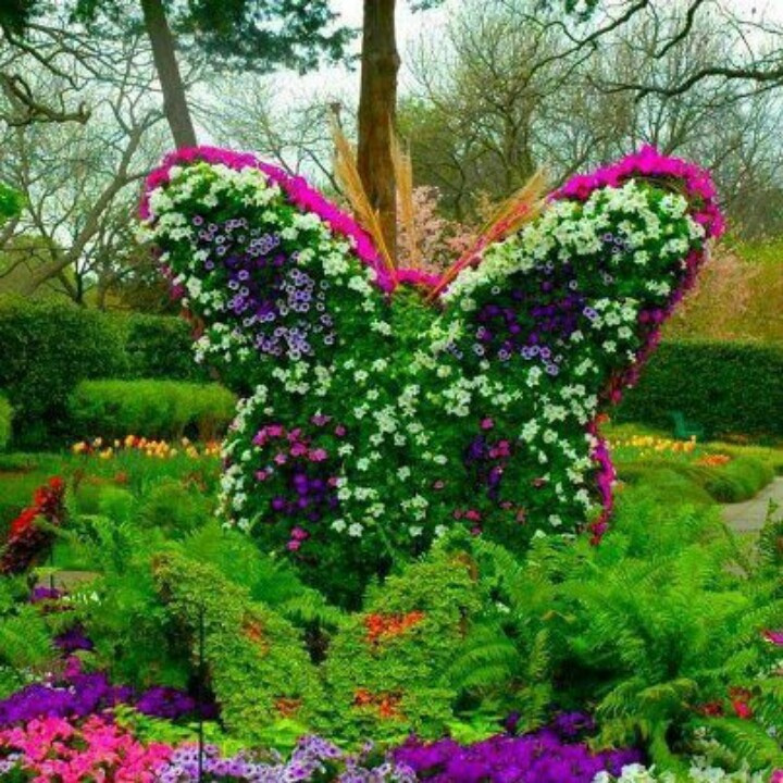 Best ideas about Garden Ideas Pinterest
. Save or Pin Butterfly" Flower garden ideas Now.