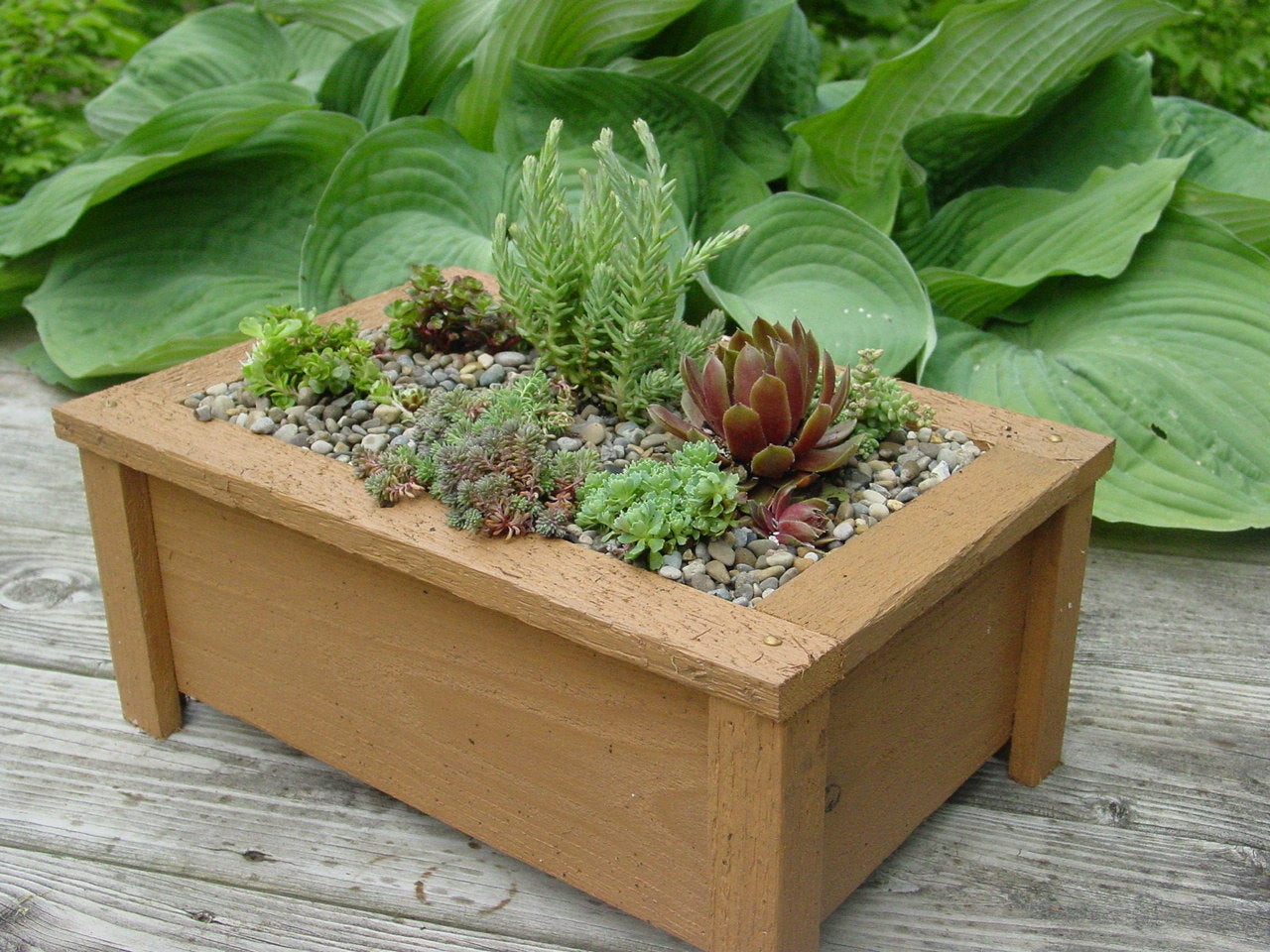 Best ideas about Garden Planter Box
. Save or Pin Miniature Garden Fairy Garden Planter Box for Outdoors or Now.