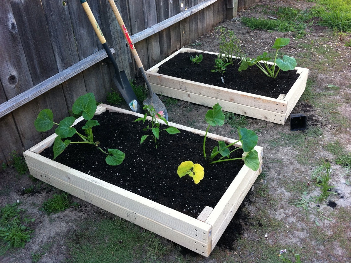 Best ideas about Garden Planter Box
. Save or Pin 2x4 Planter Boxes Now.