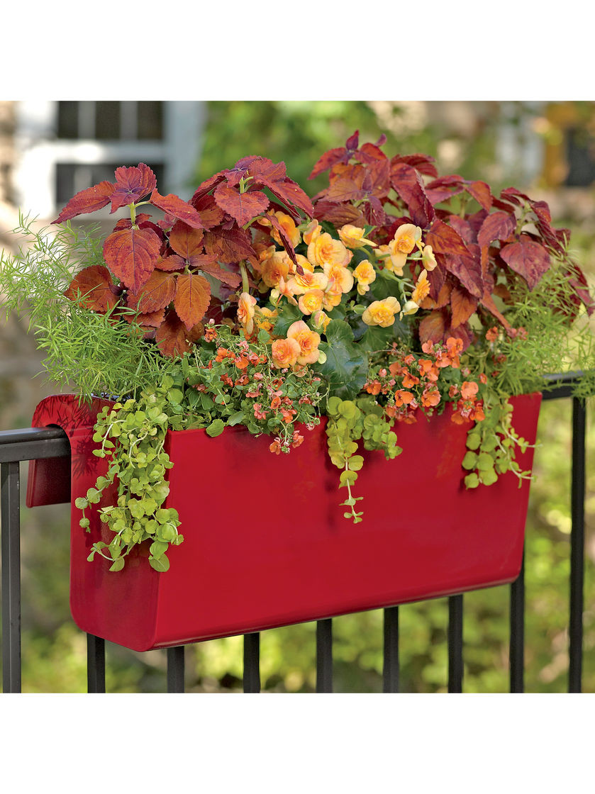 Best ideas about Garden Planter Hanging Over Balcony Railings
. Save or Pin Balcony Garden Viva Self Watering Balcony Railing Planter Now.