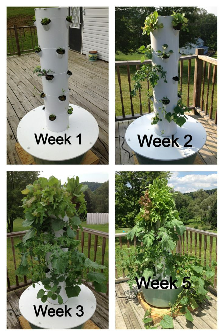Best ideas about Garden Tower DIY
. Save or Pin Aeroponic Tower Gardens – BGC Now.