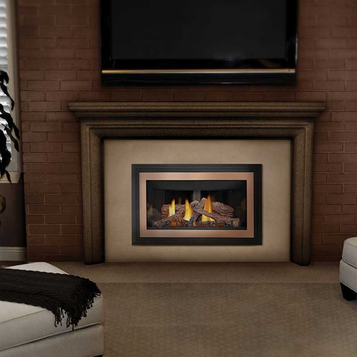 Best ideas about Gas Fireplace Insert
. Save or Pin Napoleon GDIZC N Basic Natural gas fireplace insert w Now.