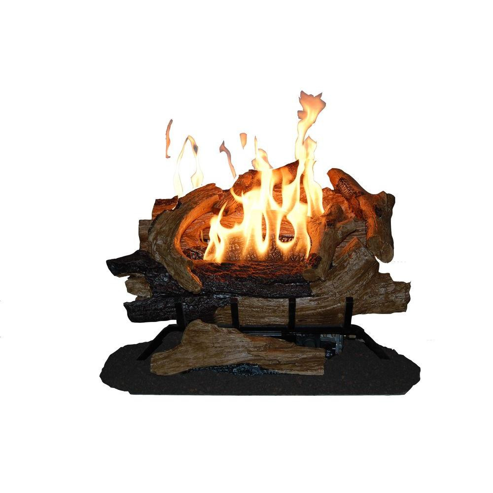 Best ideas about Gas Fireplace Logs
. Save or Pin Pro 24 in Vented Natural Gas Fireplace Log Set WAN24N Now.