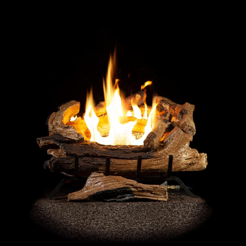 Best ideas about Gas Fireplace Logs
. Save or Pin Emberglow 24 in Split Oak Vented Natural Gas Log Set Now.