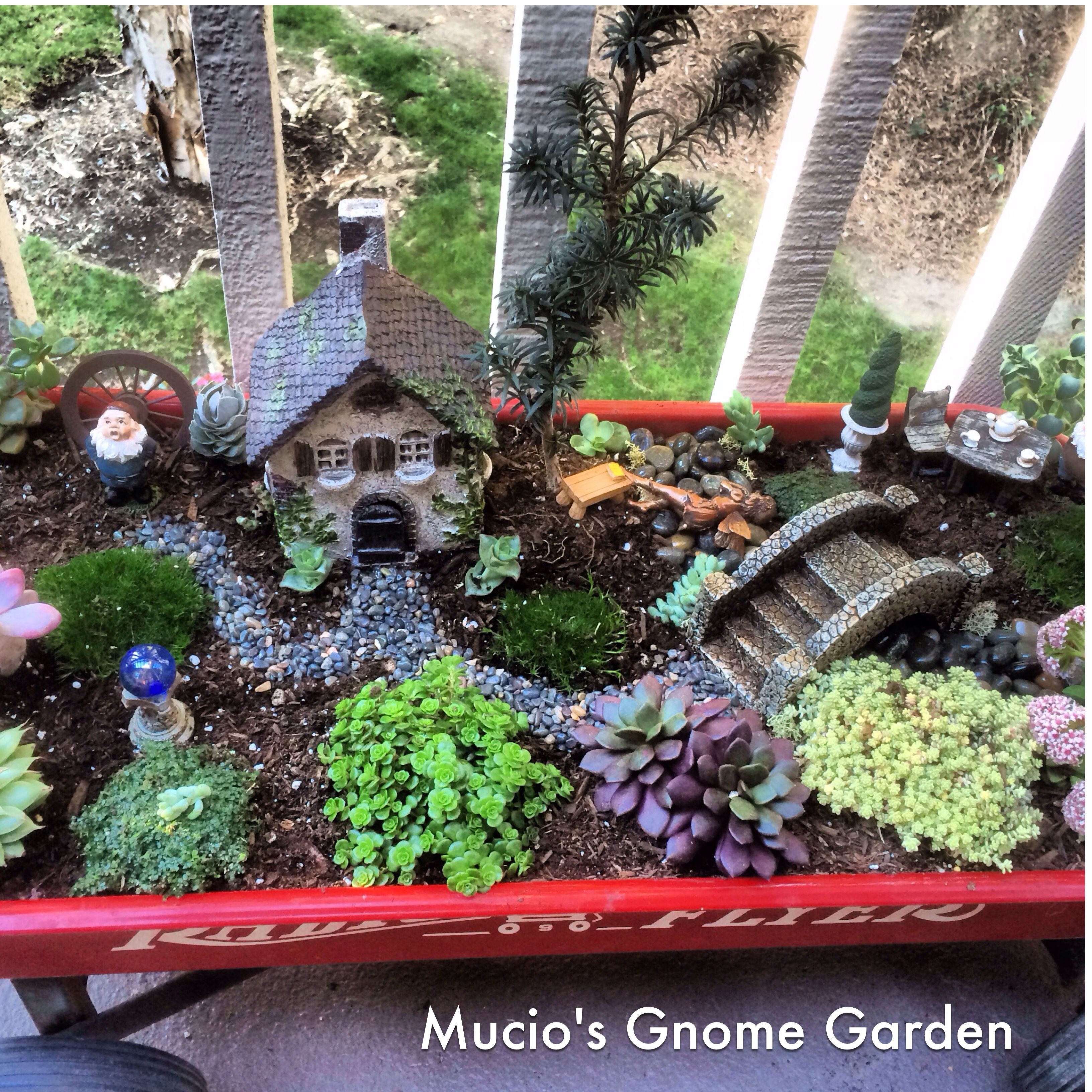 Best ideas about Gnome Garden Ideas
. Save or Pin My fairy garden gnome garden Fairy Gardens Now.