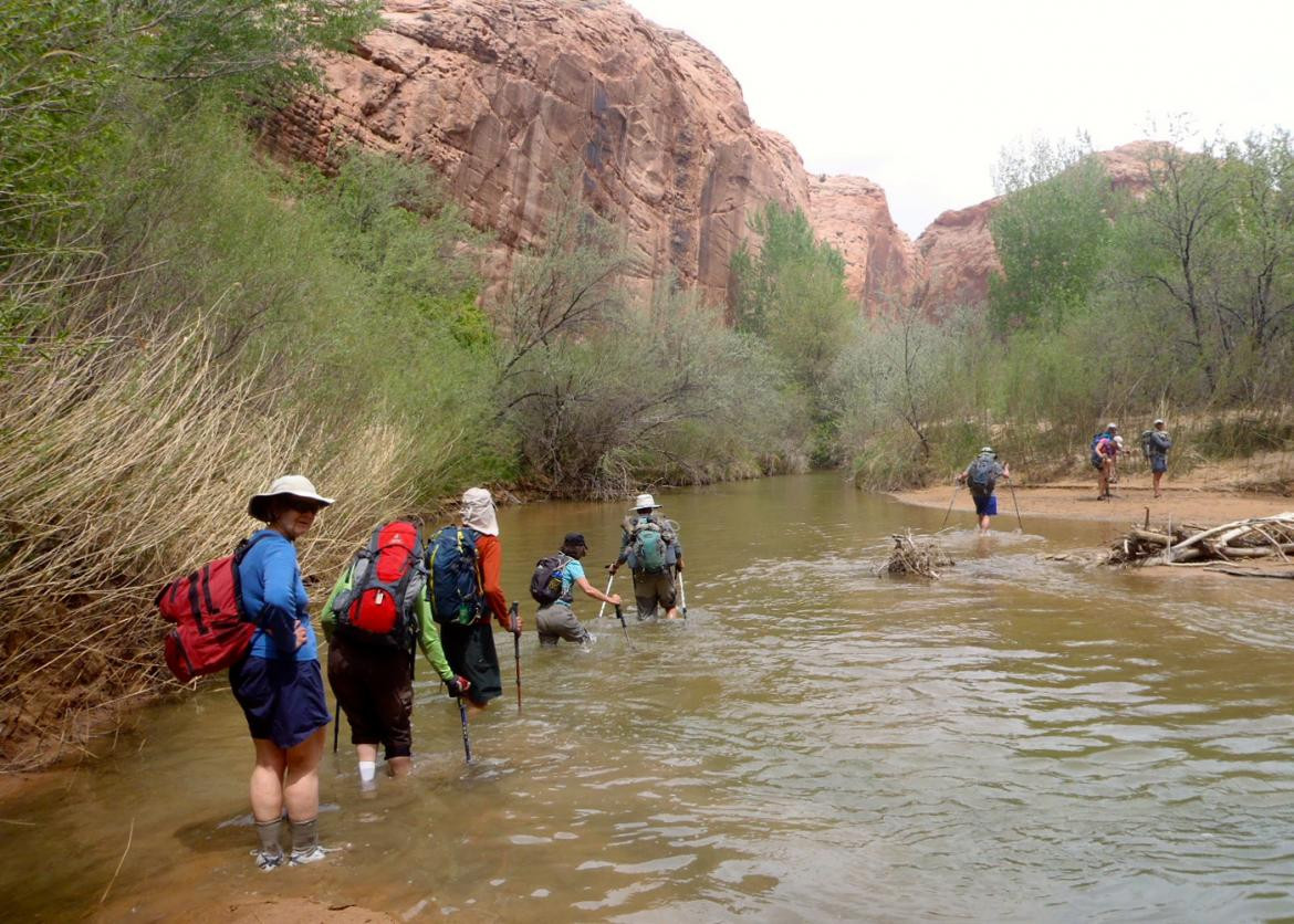 Best ideas about Grand Staircase Escalante Hiking
. Save or Pin Hike Grand Staircase Escalante Llamas Now.