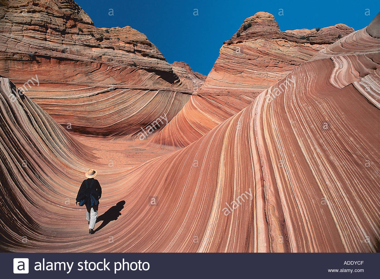 Best ideas about Grand Staircase National Monument
. Save or Pin Cojote Buttes Grand Staircase Escalante National Now.