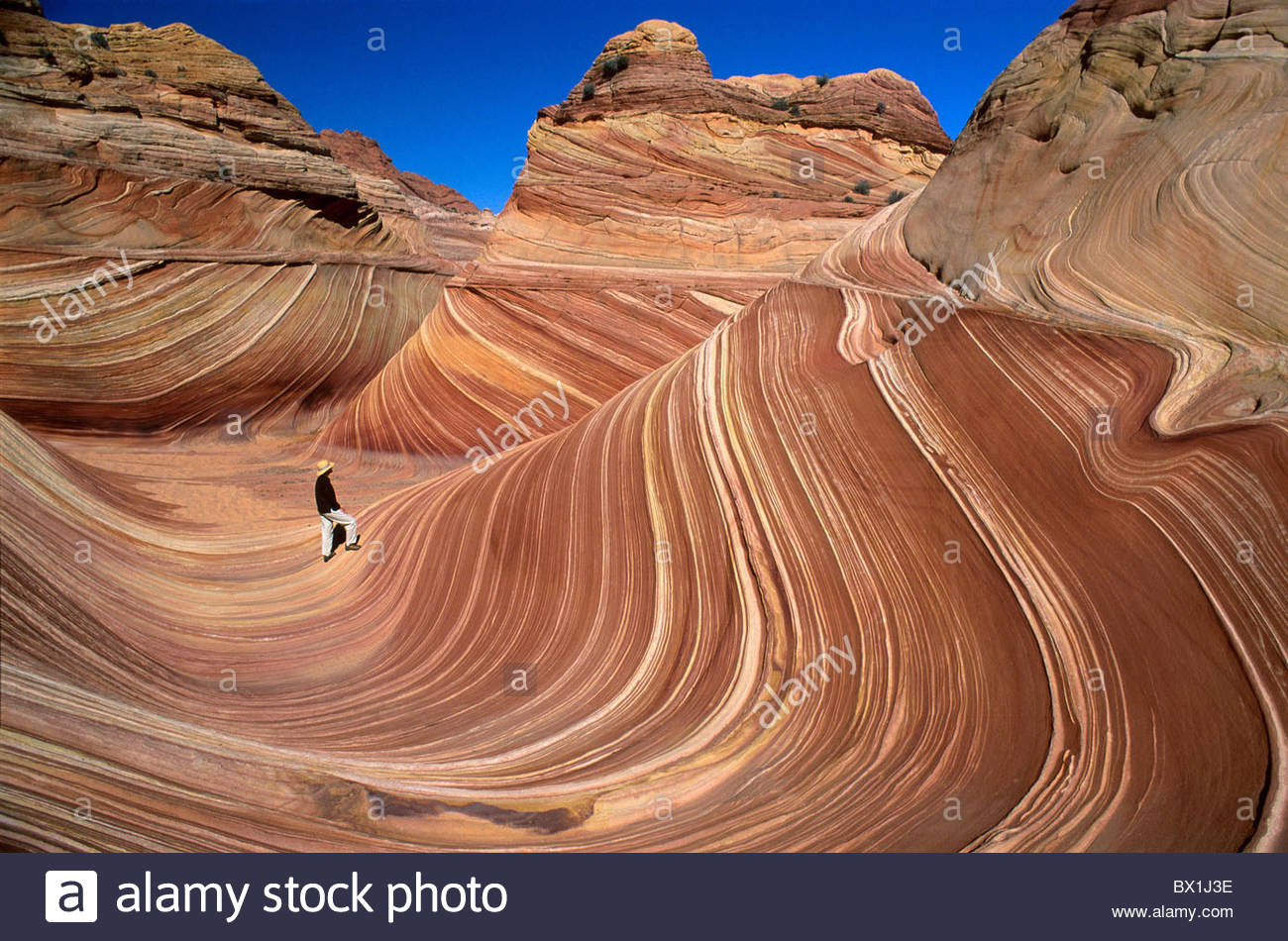 Best ideas about Grand Staircase National Monument
. Save or Pin Grand Staircase Escalante National Monument Wave USA Now.