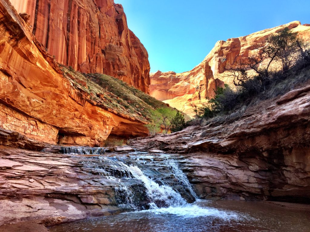 Best ideas about Grand Staircase National Monument
. Save or Pin Journey Through the Canyons of Grand Staircase Escalante Now.