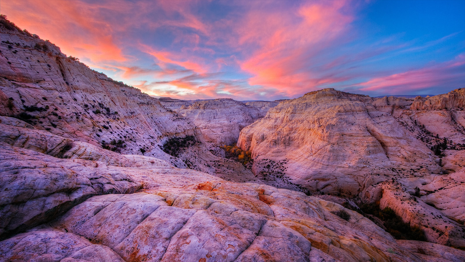 Best ideas about Grand Staircase National Monument
. Save or Pin Petition · United States Department of the Interior Now.