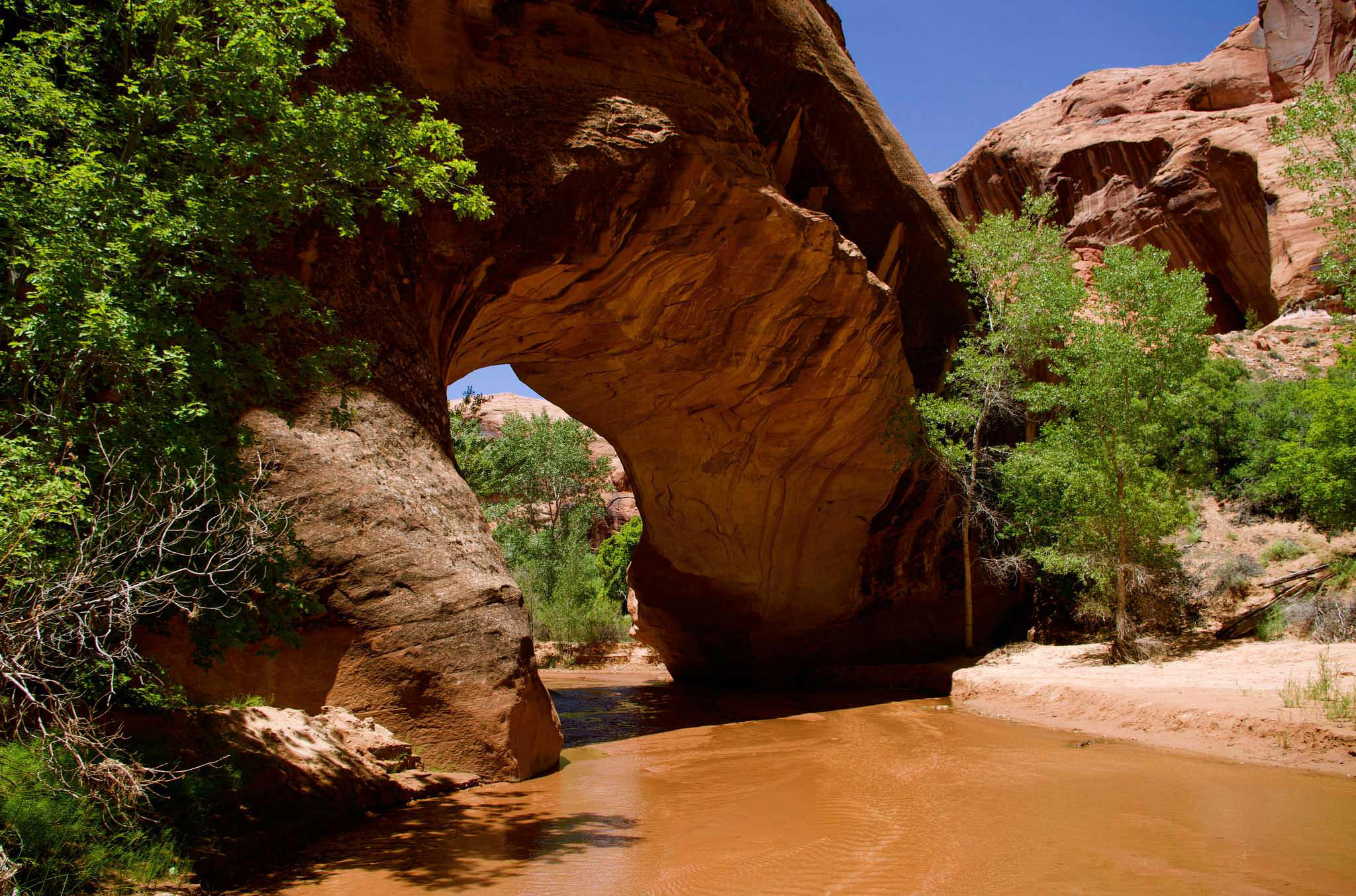 Best ideas about Grand Staircase National Monument
. Save or Pin Escalante National Monument Now.