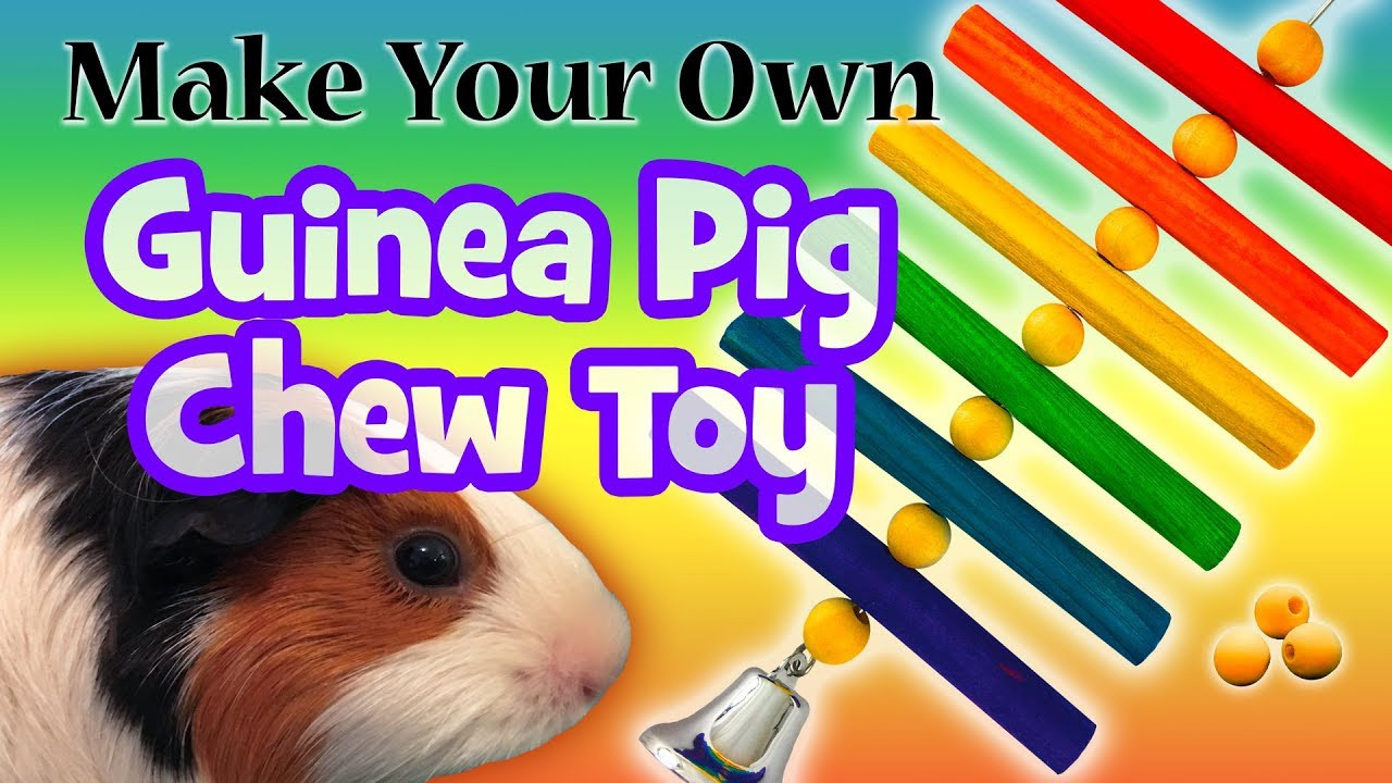 Best ideas about Guinea Pig Toys DIY
. Save or Pin Make Your Own Guinea Pig Chew Toy DIY Now.
