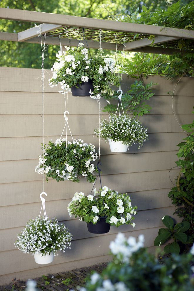 Best ideas about Hanging Garden Ideas
. Save or Pin Best 25 Small gardens ideas on Pinterest Now.