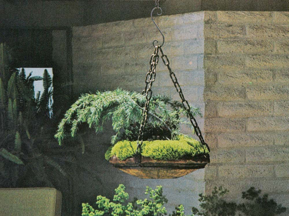 Best ideas about Hanging Garden Ideas
. Save or Pin sunset ideas for hanging gardens Now.