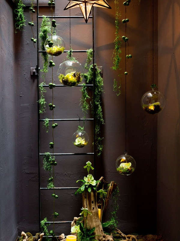 Best ideas about Hanging Garden Ideas
. Save or Pin 50 creative ideas to display your air plants in a most Now.