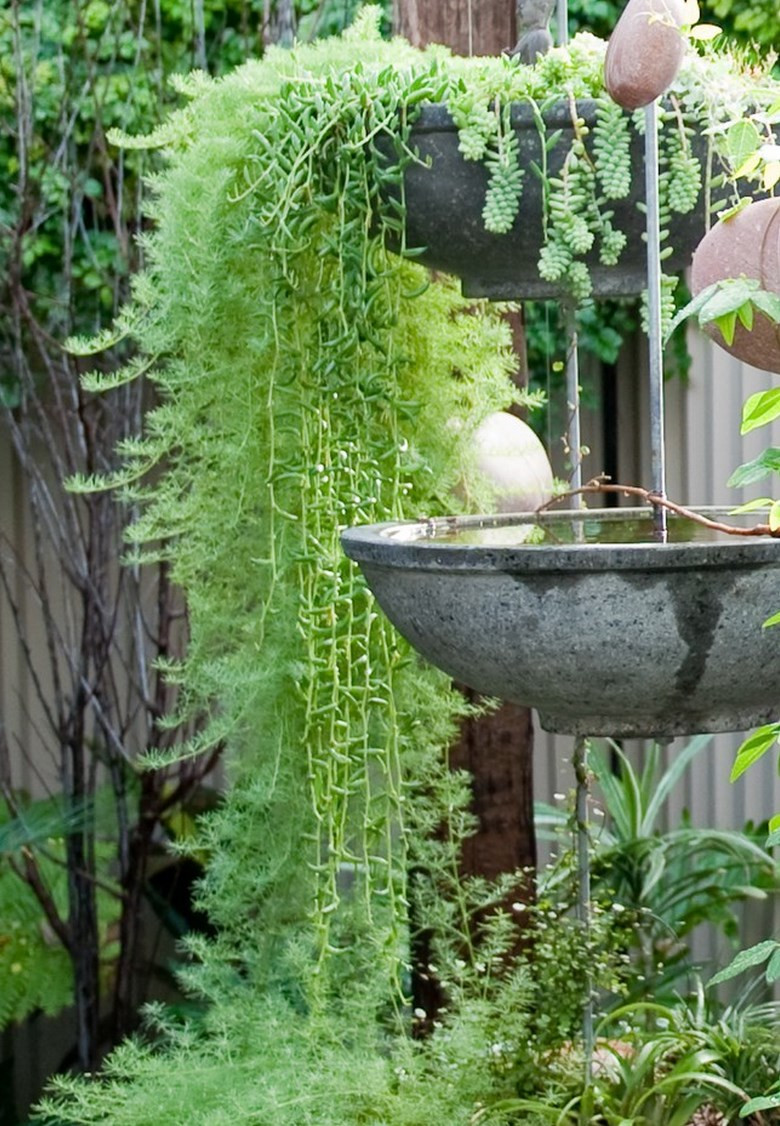 Best ideas about Hanging Garden Ideas
. Save or Pin Natural Mosquito Repellent Ideas for Your Outdoor Space Now.