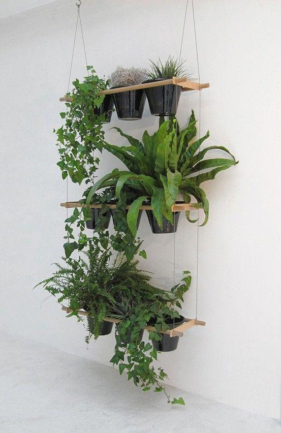 Best ideas about Hanging Indoor Planter
. Save or Pin 44 Awesome Indoor Garden and Planters Ideas Now.