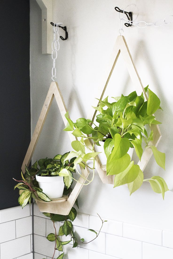 Best ideas about Hanging Indoor Planter
. Save or Pin 587 best images about Plants & Garden on Pinterest Now.