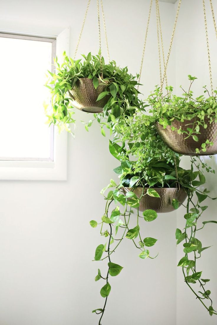 Best ideas about Hanging Indoor Planter
. Save or Pin Best 25 Hanging planters ideas on Pinterest Now.