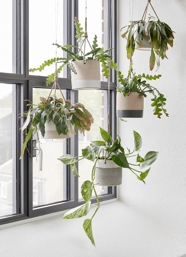 Best ideas about Hanging Indoor Planter
. Save or Pin 25 best ideas about Indoor hanging planters on Pinterest Now.