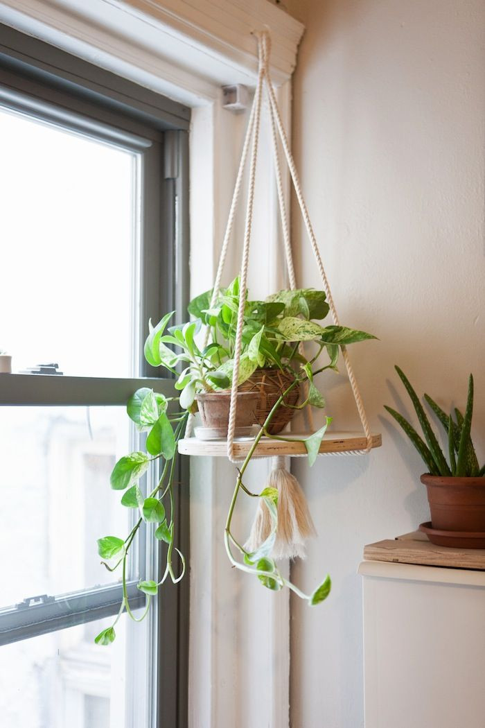 Best ideas about Hanging Planter Indoor
. Save or Pin Best 25 Indoor hanging plants ideas on Pinterest Now.