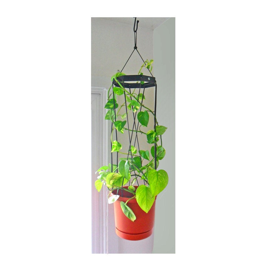 Best ideas about Hanging Planter Indoor
. Save or Pin Indoor hanging planter trellis bination Now.