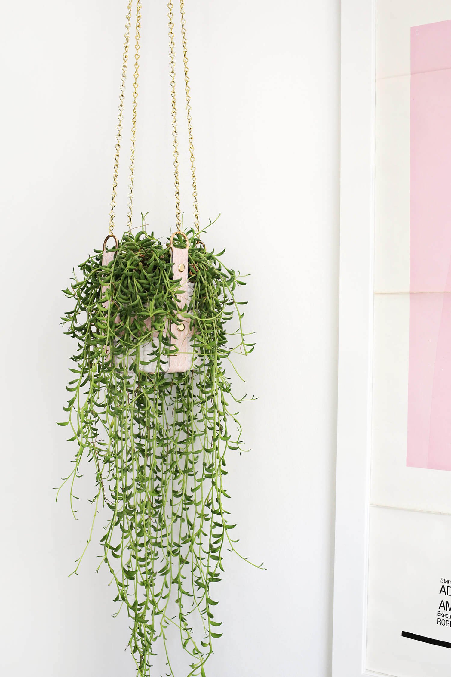 Best ideas about Hanging Planter Indoor
. Save or Pin Hanging Leather Strap Planter DIY A Beautiful Mess Now.