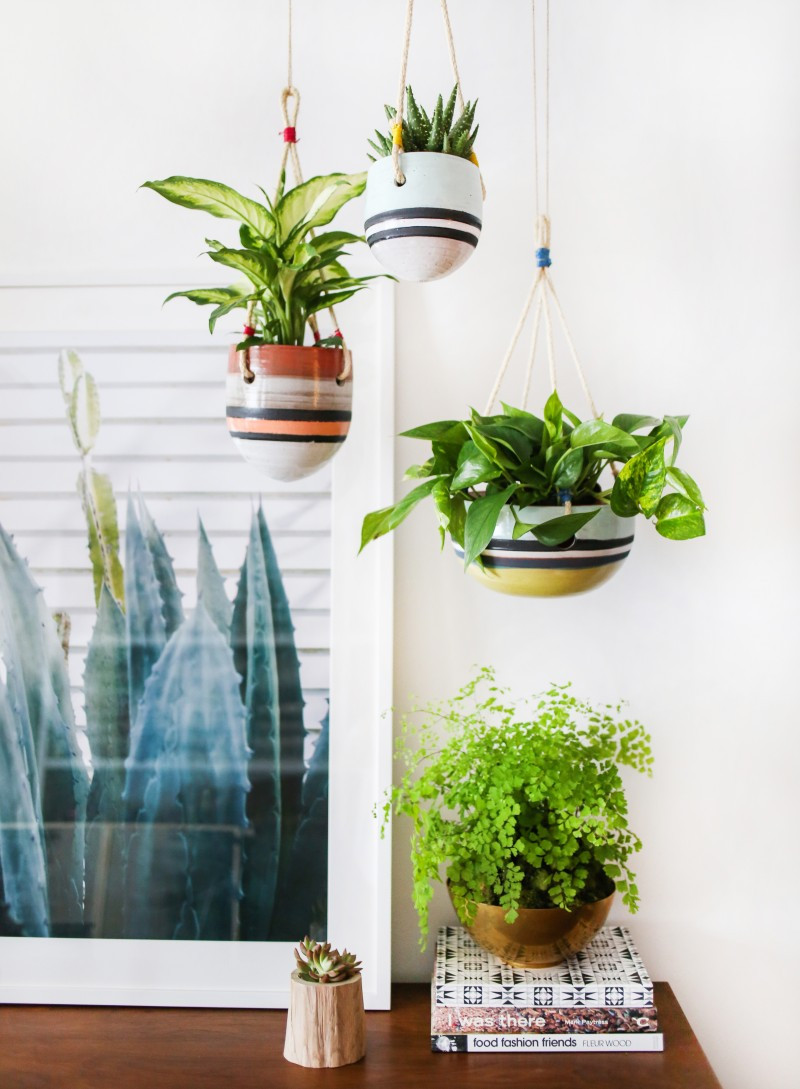 Best ideas about Hanging Planter Indoor
. Save or Pin An Indoor Hanging Garden With Anthropologie [A How To Now.