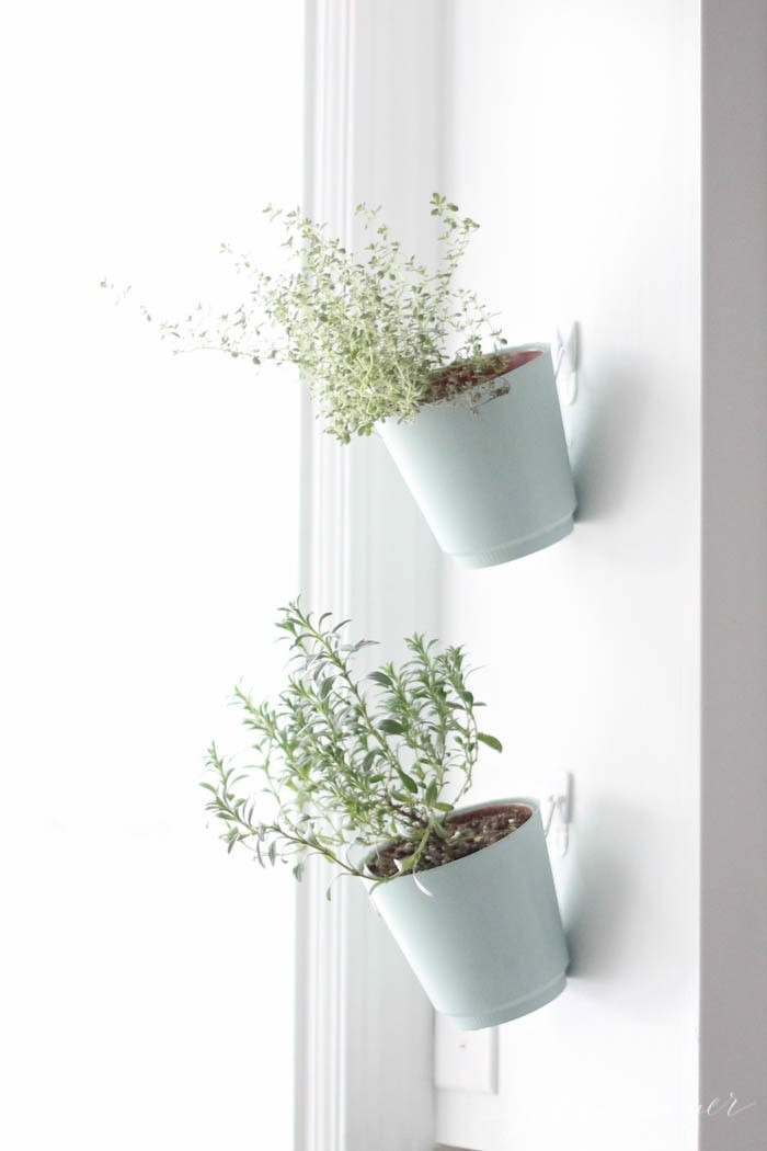 Best ideas about Hanging Planters Indoor
. Save or Pin Indoor Herb Garden Now.