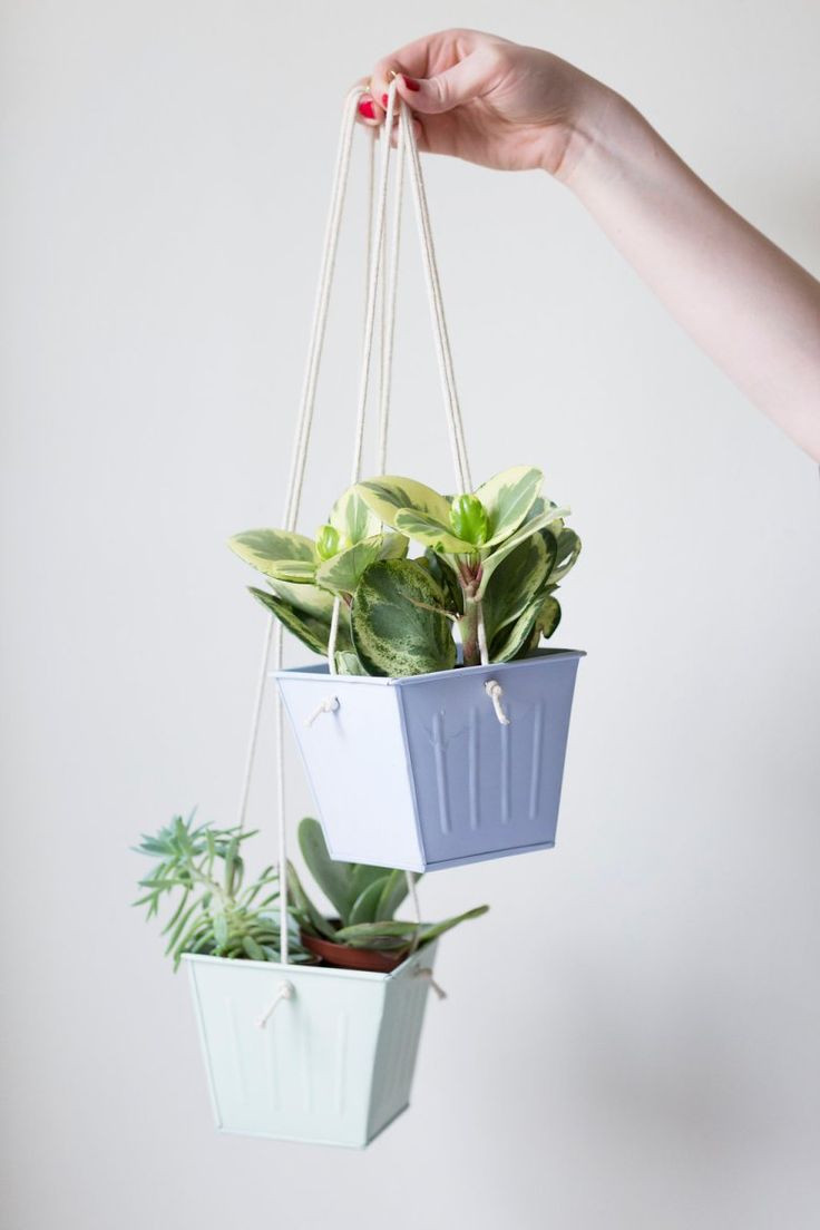 Best ideas about Hanging Planters Indoor
. Save or Pin 1000 ideas about Indoor Hanging Planters on Pinterest Now.