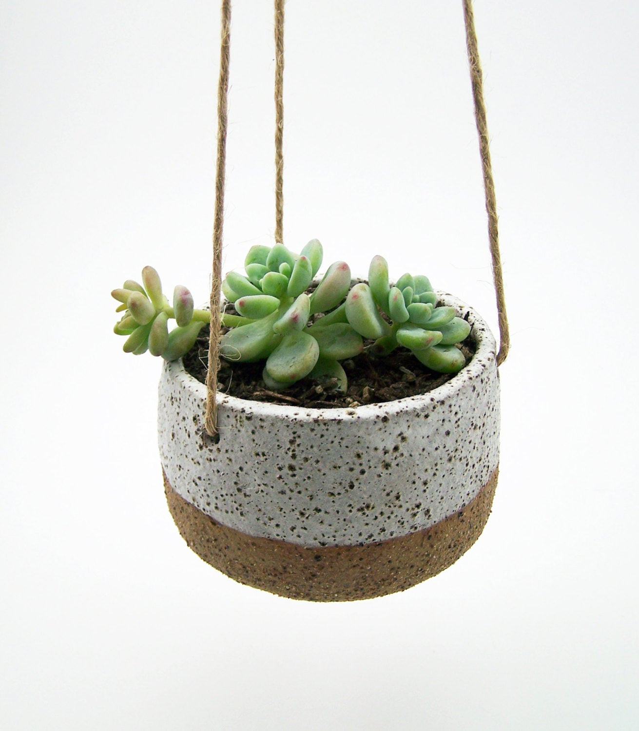Best ideas about Hanging Succulent Planter
. Save or Pin Unavailable Listing on Etsy Now.