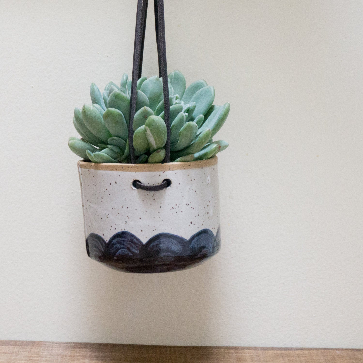 Best ideas about Hanging Succulent Planter
. Save or Pin SALE Hanging Wall Planter for Succulents and Airplants Blue Now.