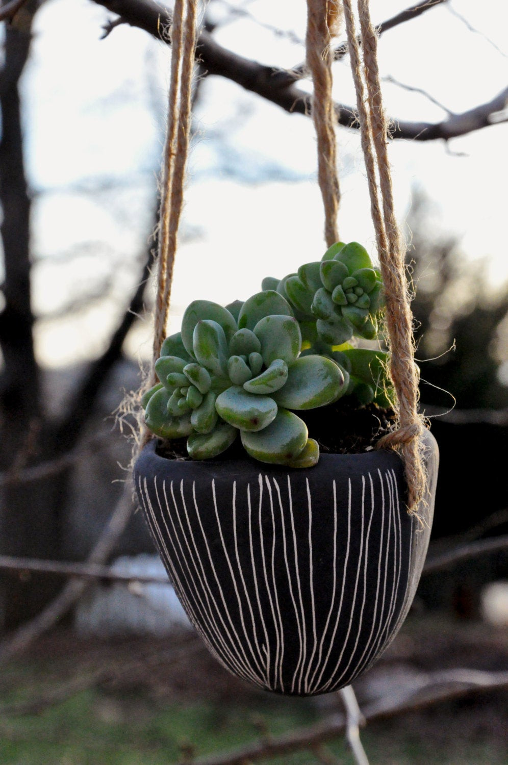 Best ideas about Hanging Succulent Planter
. Save or Pin Vertical Line Design Hanging Ceramic Planter Succulent Now.