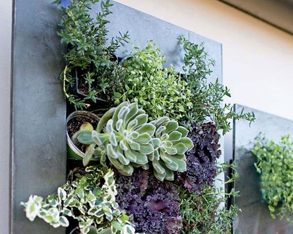 Best ideas about Hanging Succulent Planter
. Save or Pin Planter succulent planter wall planter Hanging planter air Now.