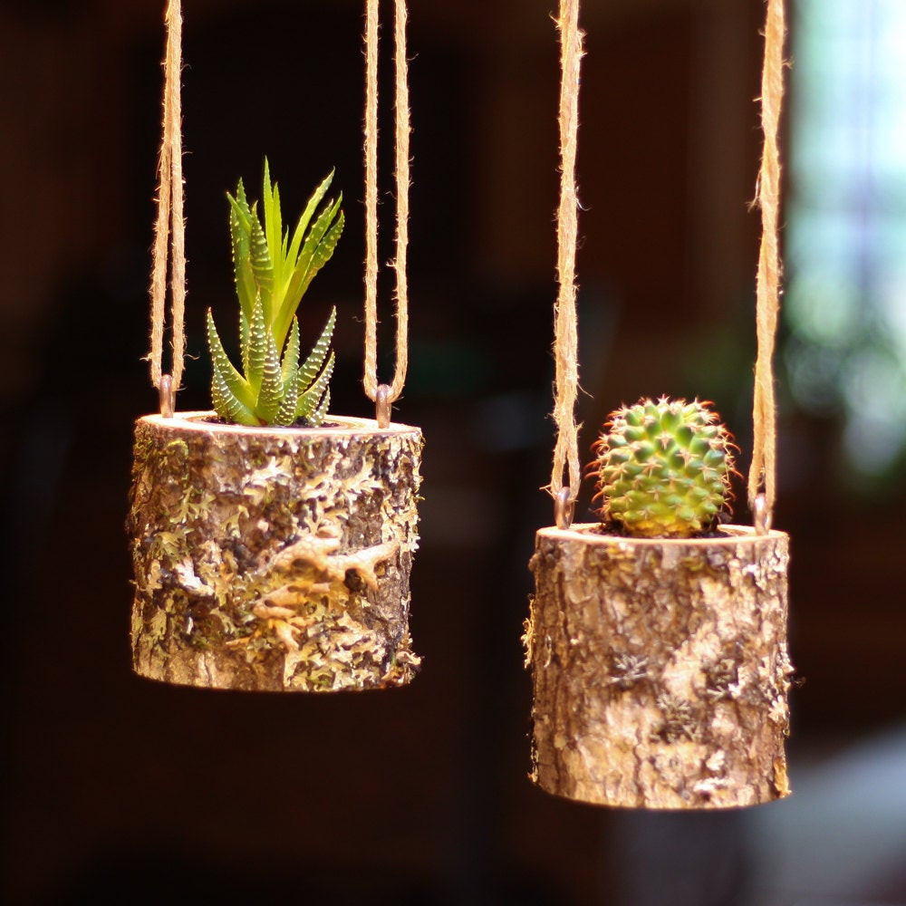 Best ideas about Hanging Succulent Planter
. Save or Pin Hanging Planter Indoors Rustic Hanging Succulent Planter Log Now.