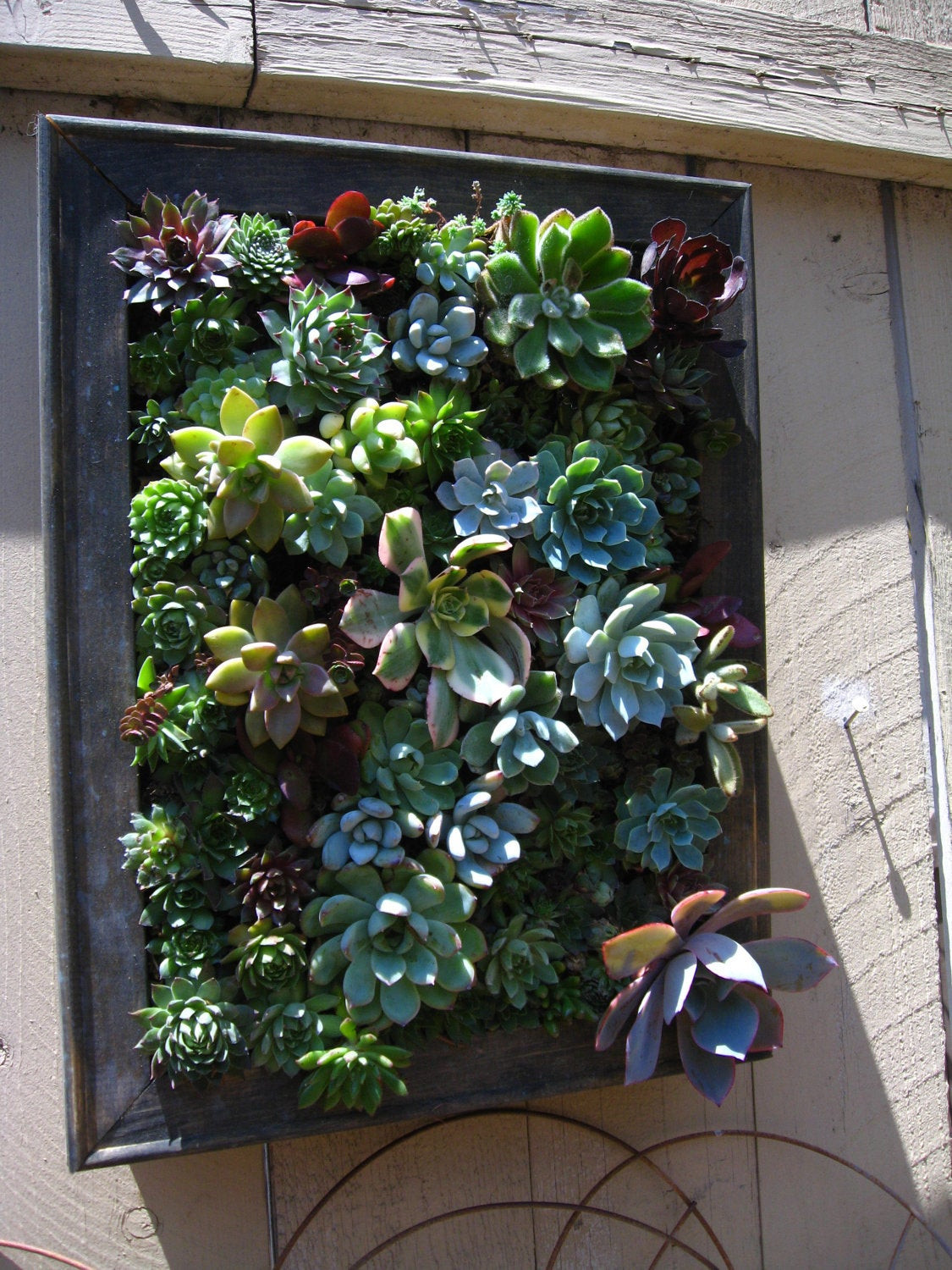 Best ideas about Hanging Succulent Planter
. Save or Pin Rustic Hanging Vertical Planter with Succulent Arrangement Now.