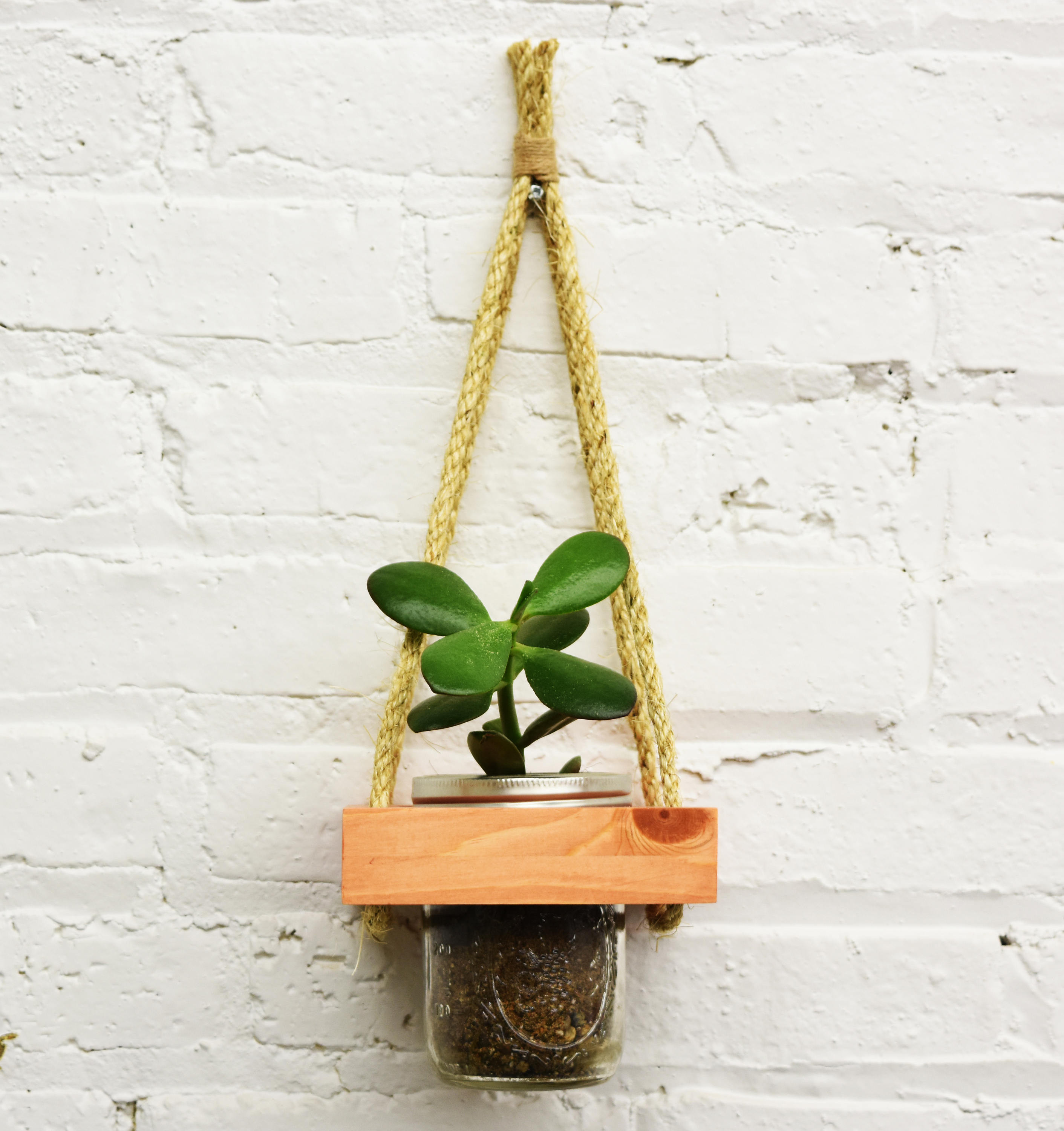 Best ideas about Hanging Succulent Planter
. Save or Pin Hanging Planter Live Succulents Wall Planter Live Plants Now.
